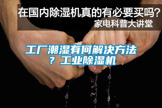 工廠潮濕有何解決方法?工業(yè)除濕機
