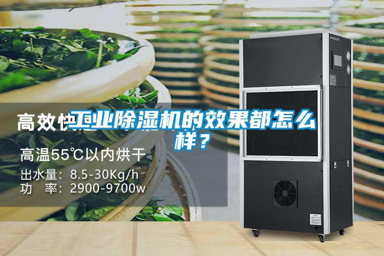 工業除濕機的效果都怎么樣？