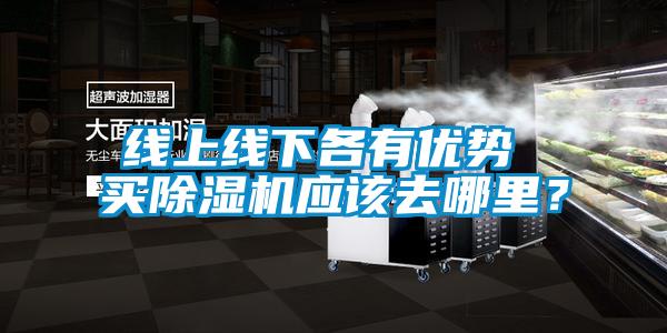 線上線下各有優(yōu)勢 買除濕機(jī)應(yīng)該去哪里?