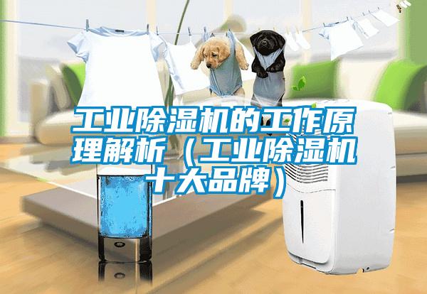 工業除濕機的工作原理解析(工業除濕機十大品牌)