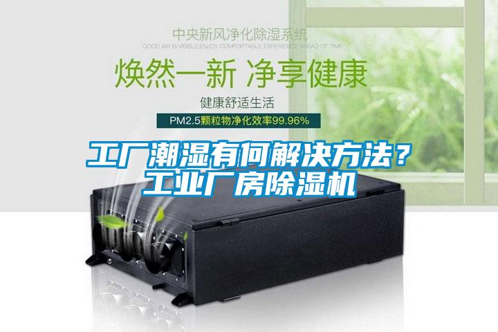 工廠潮濕有何解決方法？工業廠房除濕機