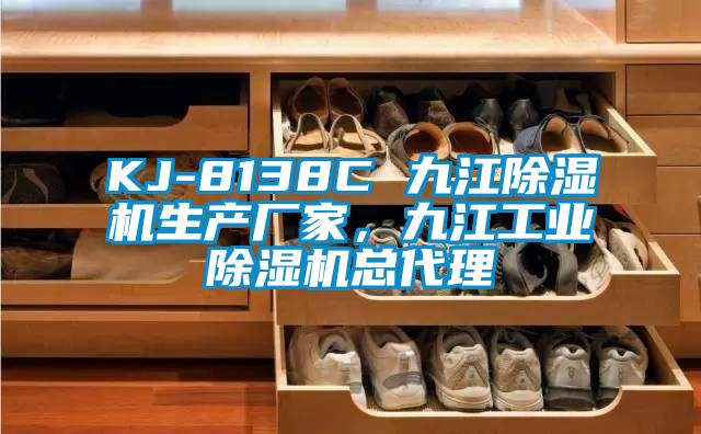 KJ-8138C 九江除濕機生產(chǎn)廠家,九江工業(yè)除濕機總代理