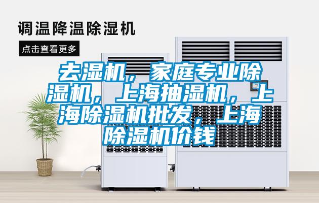 去濕機，家庭專業(yè)除濕機，上海抽濕機，上海除濕機批發(fā)，上海除濕機價錢
