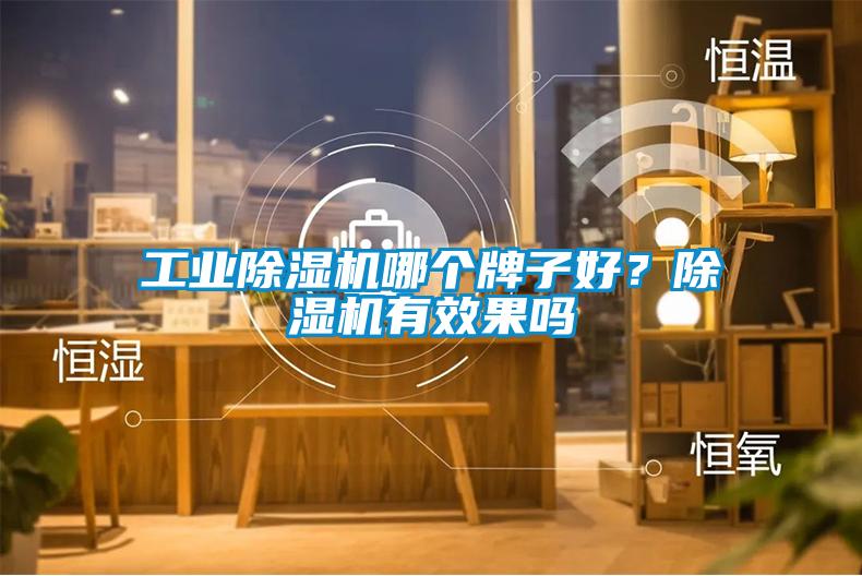 工業除濕機哪個牌子好？除濕機有效果嗎