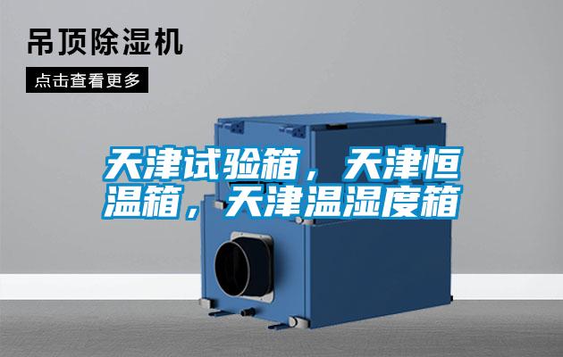 天津試驗箱，天津恒溫箱，天津溫濕度箱