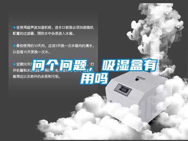 問個問題，吸濕盒有用嗎