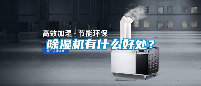 除濕機(jī)有什么好處?
