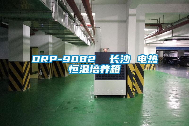 DRP-9082 長沙 電熱恒溫培養(yǎng)箱