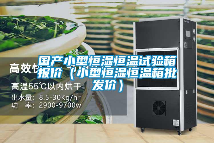 國產(chǎn)小型恒濕恒溫試驗(yàn)箱報(bào)價(jià)(小型恒濕恒溫箱批發(fā)價(jià))