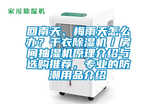 回南天、梅雨天怎么辦？干衣除濕機(jī)／房間抽濕機(jī)原理介紹與選購(gòu)?fù)扑]，專業(yè)的防潮用品介紹