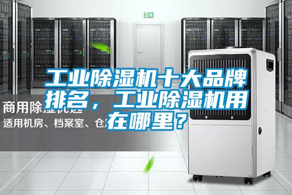工業(yè)除濕機十大品牌排名,工業(yè)除濕機用在哪里?