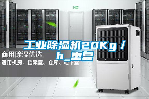 工業(yè)除濕機20Kg/h_重復