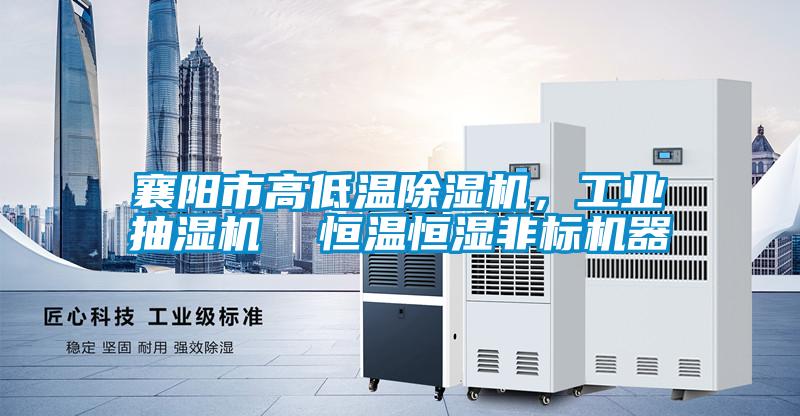 襄陽(yáng)市高低溫除濕機(jī)，工業(yè)抽濕機(jī)  恒溫恒濕非標(biāo)機(jī)器