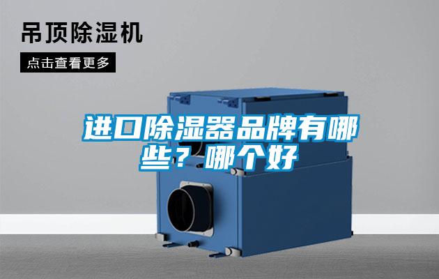 進(jìn)口除濕器品牌有哪些?哪個(gè)好