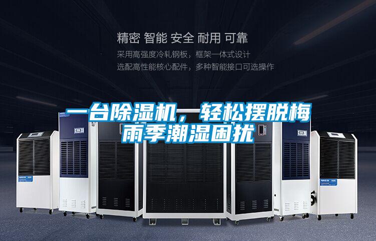 一臺除濕機，輕松擺脫梅雨季潮濕困擾