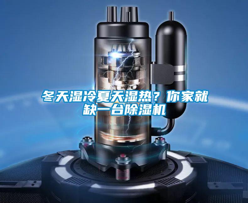 冬天濕冷夏天濕熱？你家就缺一臺除濕機