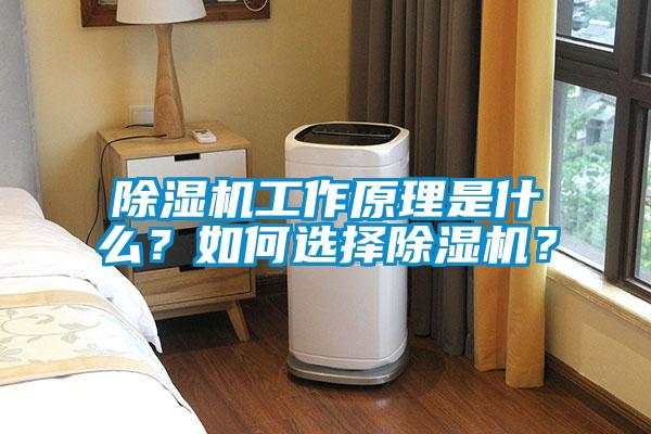 除濕機工作原理是什么？如何選擇除濕機？
