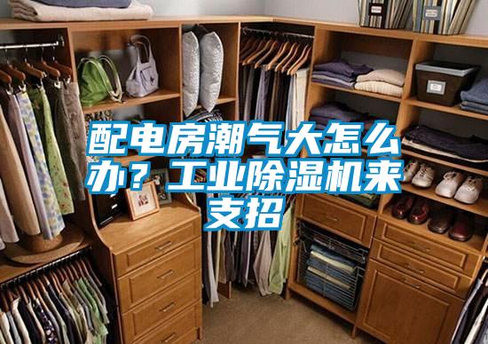配電房潮氣大怎么辦？工業除濕機來支招