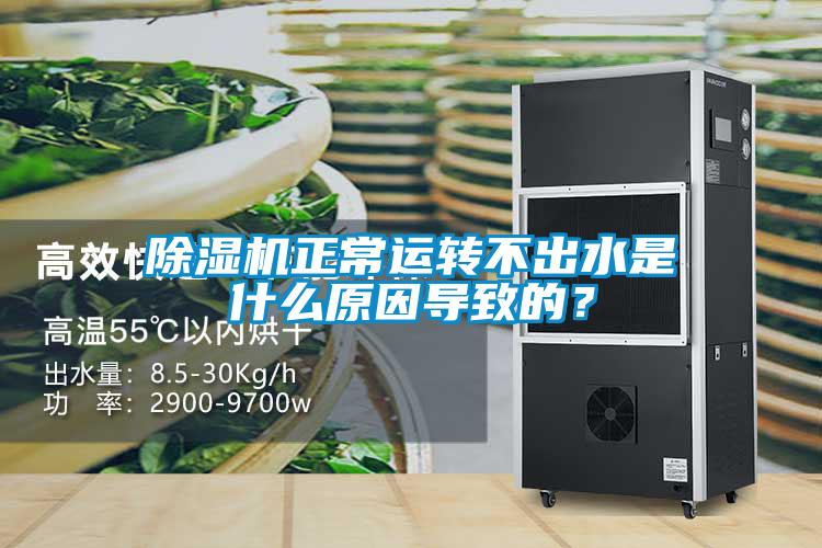 除濕機正常運轉不出水是什么原因導致的？