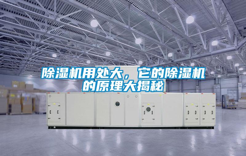 除濕機(jī)用處大，它的除濕機(jī)的原理大揭秘