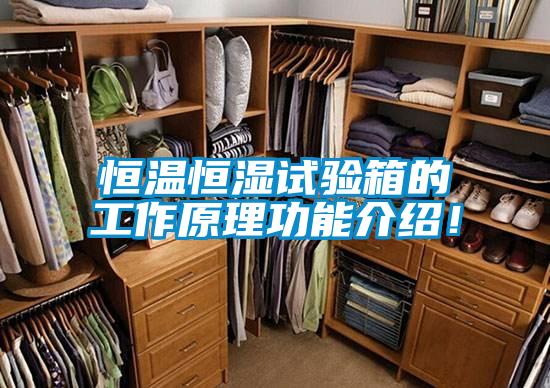 恒溫恒濕試驗箱的工作原理功能介紹！