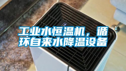 工業(yè)水恒溫機,循環(huán)自來水降溫設(shè)備