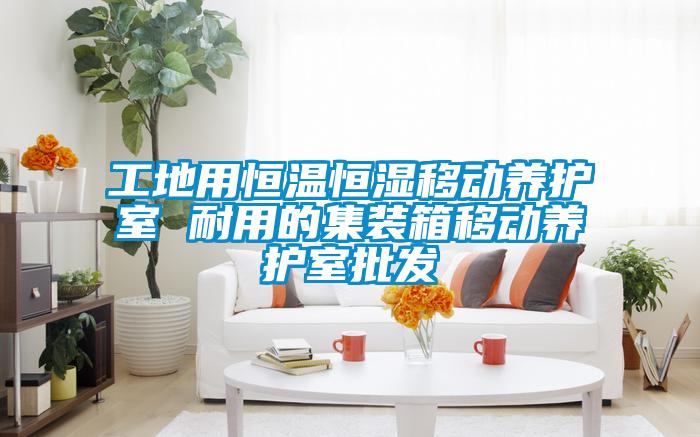 工地用恒溫恒濕移動養(yǎng)護室 耐用的集裝箱移動養(yǎng)護室批發(fā)
