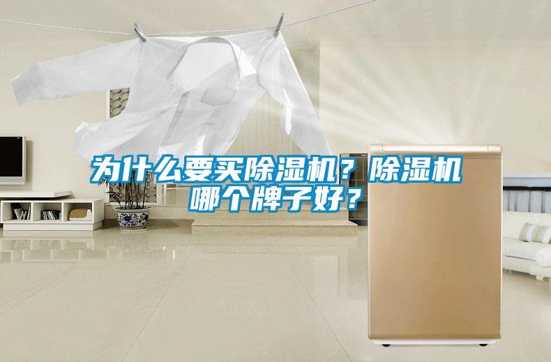 為什么要買(mǎi)除濕機(jī)？除濕機(jī)哪個(gè)牌子好？