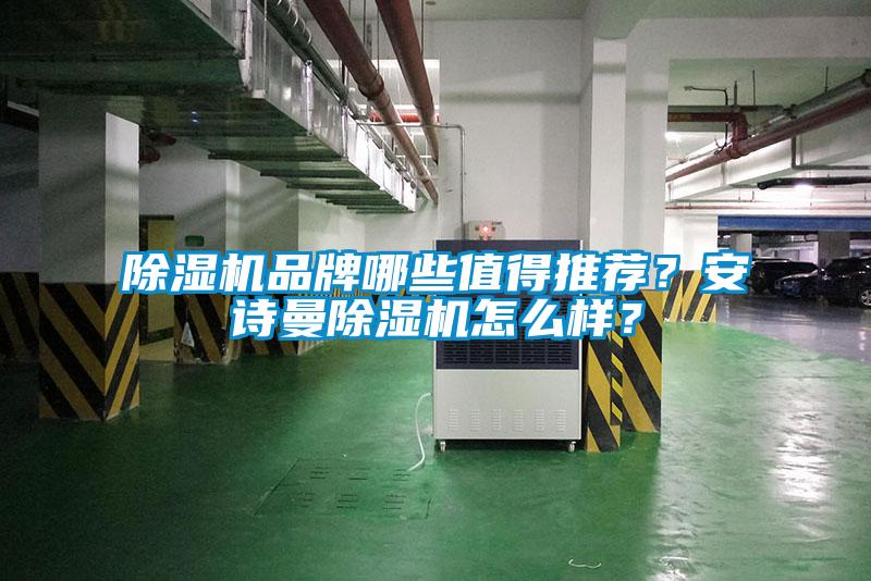 除濕機(jī)品牌哪些值得推薦？安詩曼除濕機(jī)怎么樣？