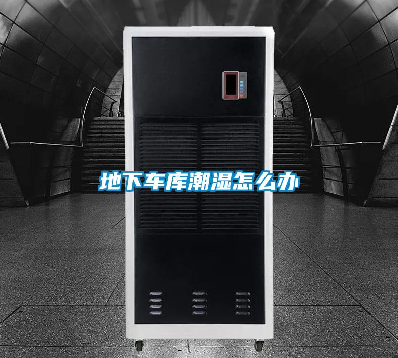 地下車庫(kù)潮濕怎么辦