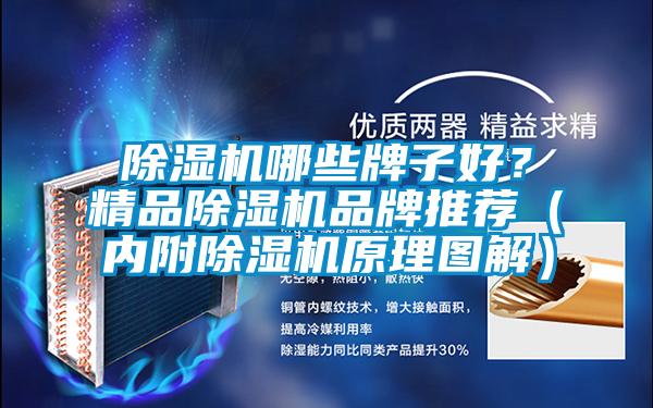 除濕機哪些牌子好？精品除濕機品牌推薦（內附除濕機原理圖解）