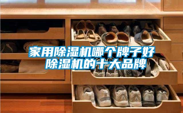 家用除濕機(jī)哪個牌子好 除濕機(jī)的十大品牌