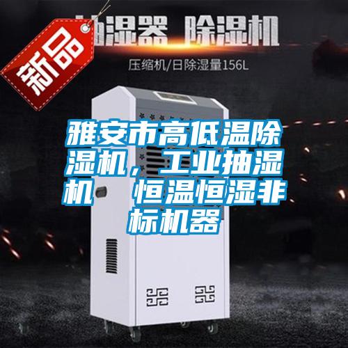 雅安市高低溫除濕機(jī),工業(yè)抽濕機(jī) 恒溫恒濕非標(biāo)機(jī)器