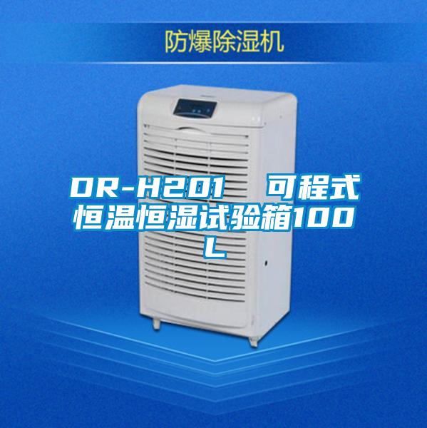 DR-H201 可程式恒溫恒濕試驗箱100L