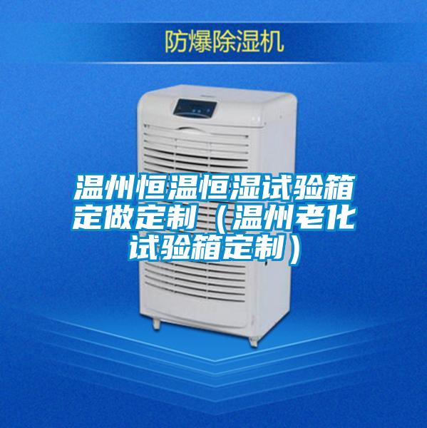 溫州恒溫恒濕試驗箱定做定制(溫州老化試驗箱定制)