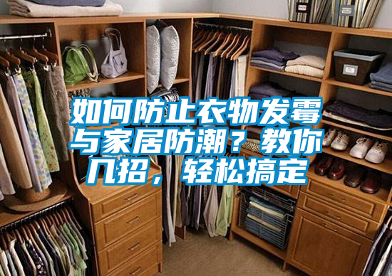 如何防止衣物發霉與家居防潮？教你幾招，輕松搞定