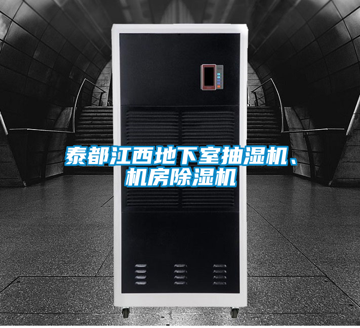 泰都江西地下室抽濕機、機房除濕機