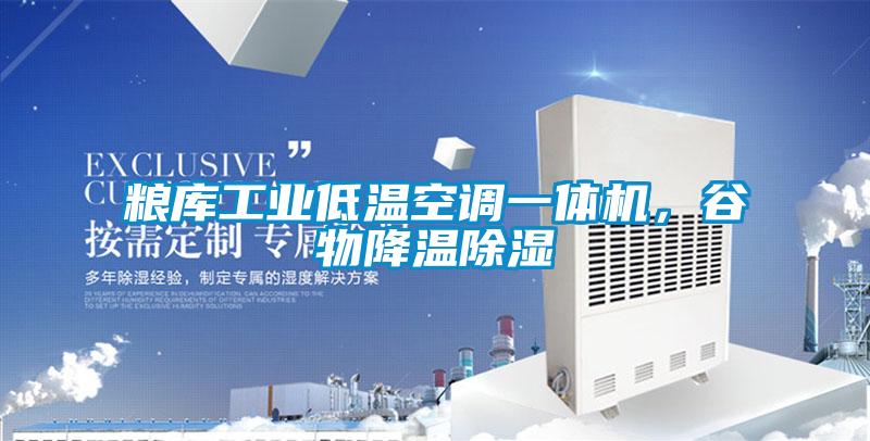 糧庫工業低溫空調一體機,谷物降溫除濕