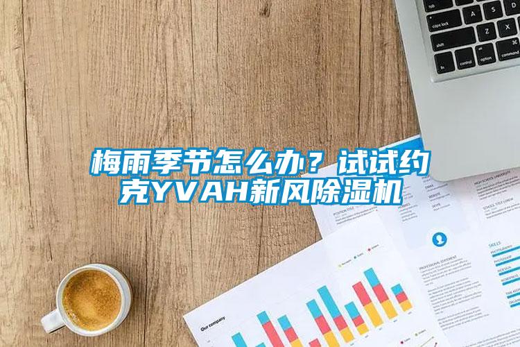 梅雨季節(jié)怎么辦?試試約克YVAH新風(fēng)除濕機