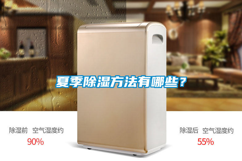 夏季除濕方法有哪些?