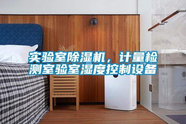 實驗室除濕機,計量檢測室驗室濕度控制設備