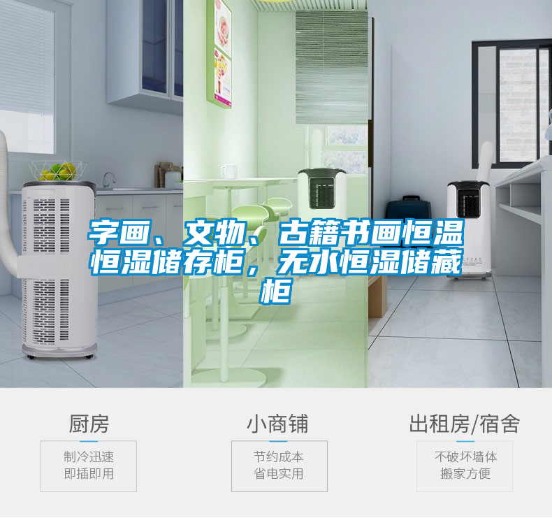 字畫、文物、古籍書畫恒溫恒濕儲存柜，無水恒濕儲藏柜