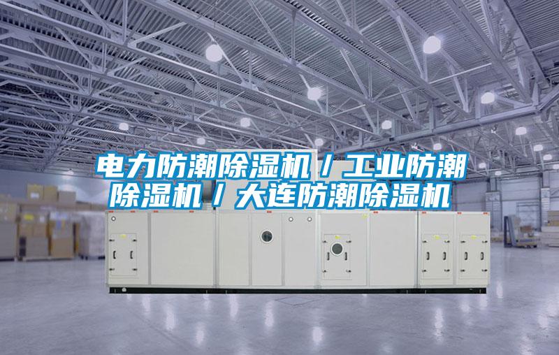 電力防潮除濕機(jī)/工業(yè)防潮除濕機(jī)/大連防潮除濕機(jī)