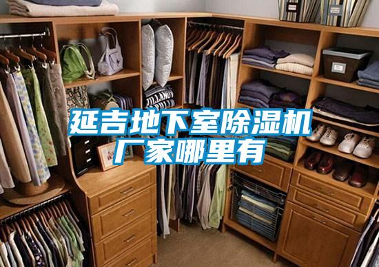 延吉地下室除濕機(jī)廠(chǎng)家哪里有