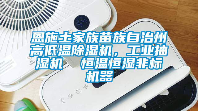 恩施土家族苗族自治州高低溫除濕機，工業抽濕機  恒溫恒濕非標機器