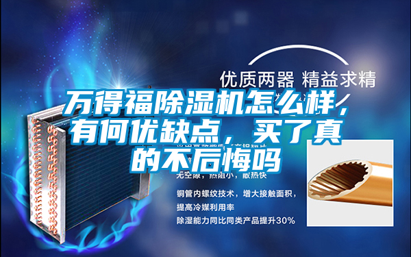 萬得福除濕機(jī)怎么樣,有何優(yōu)缺點(diǎn),買了真的不后悔嗎
