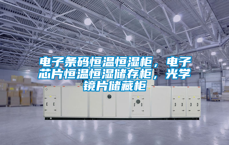 電子條碼恒溫恒濕柜,電子芯片恒溫恒濕儲(chǔ)存柜,光學(xué)鏡片儲(chǔ)藏柜