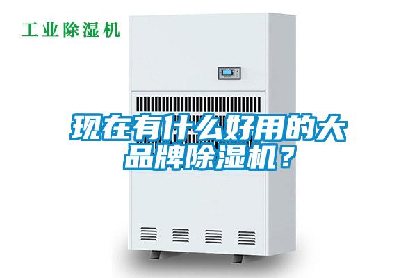 現在有什么好用的大品牌除濕機?