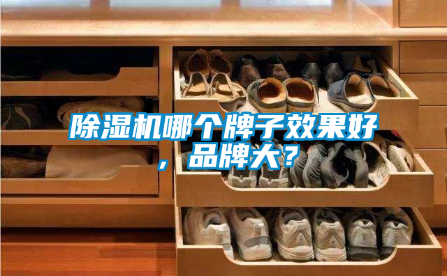除濕機哪個牌子效果好,品牌大?