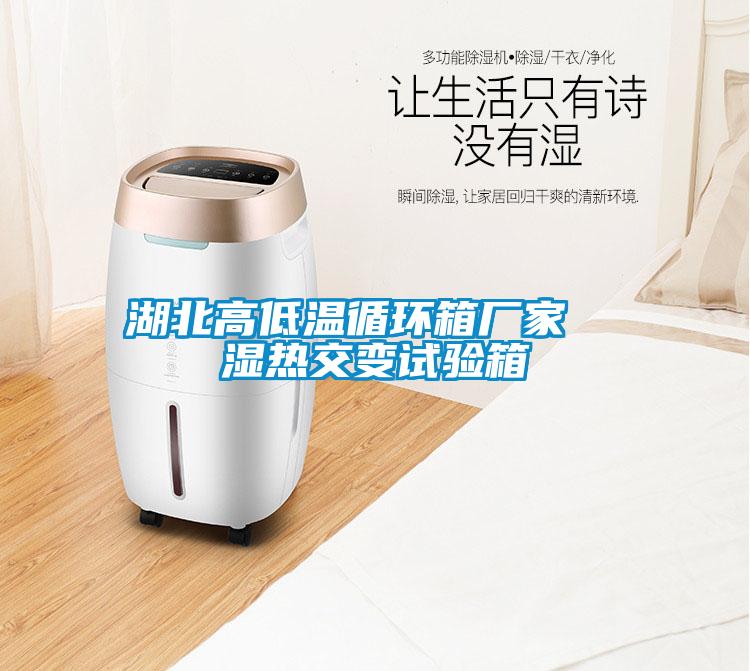 湖北高低溫循環(huán)箱廠家 濕熱交變試驗箱